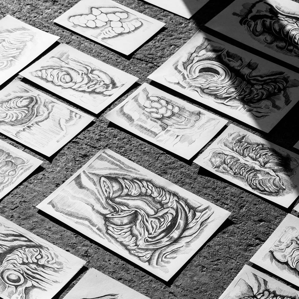 Graphite drawings of folded anatomical forms laid out on the floor