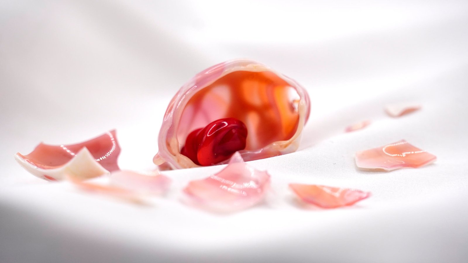 A small flameworked shell with a red bead inside, on white cloth with shards