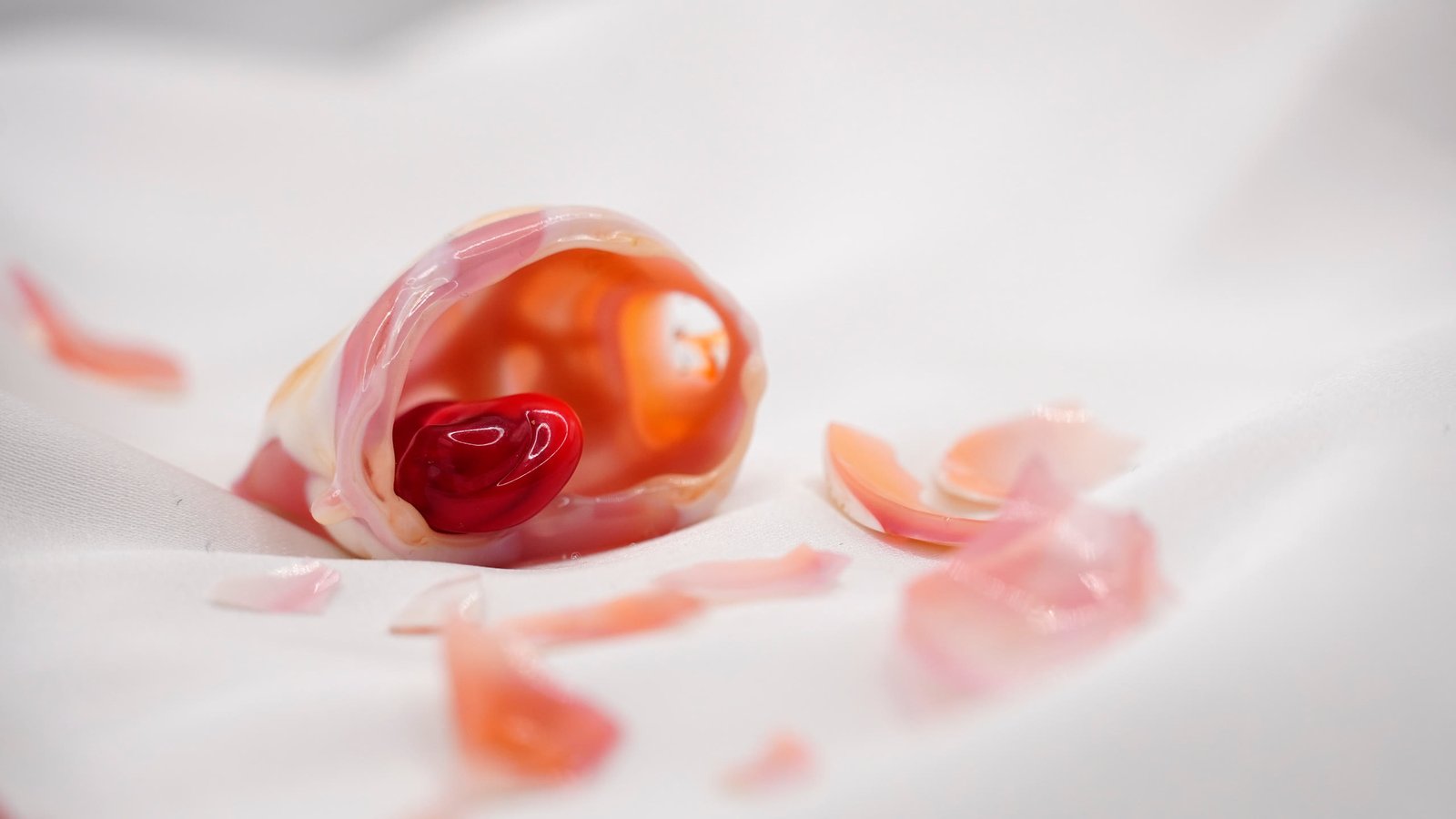 A pink flamework form with a red bead on white cloth, petal-like shards around it