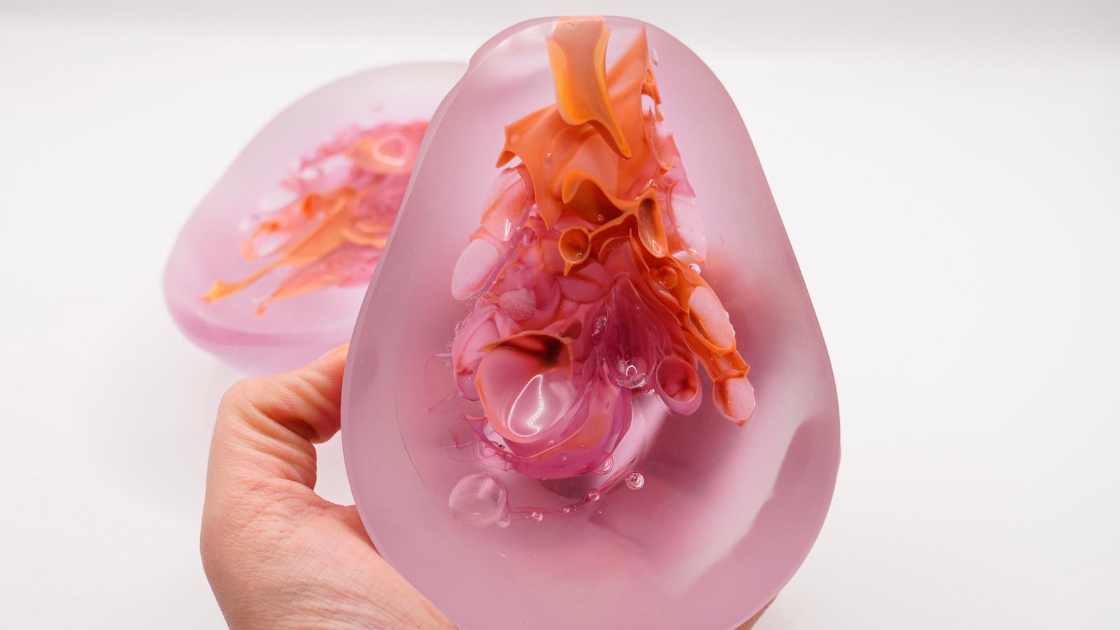 A hand holding two frosted pink domes with coral forms enclosed inside