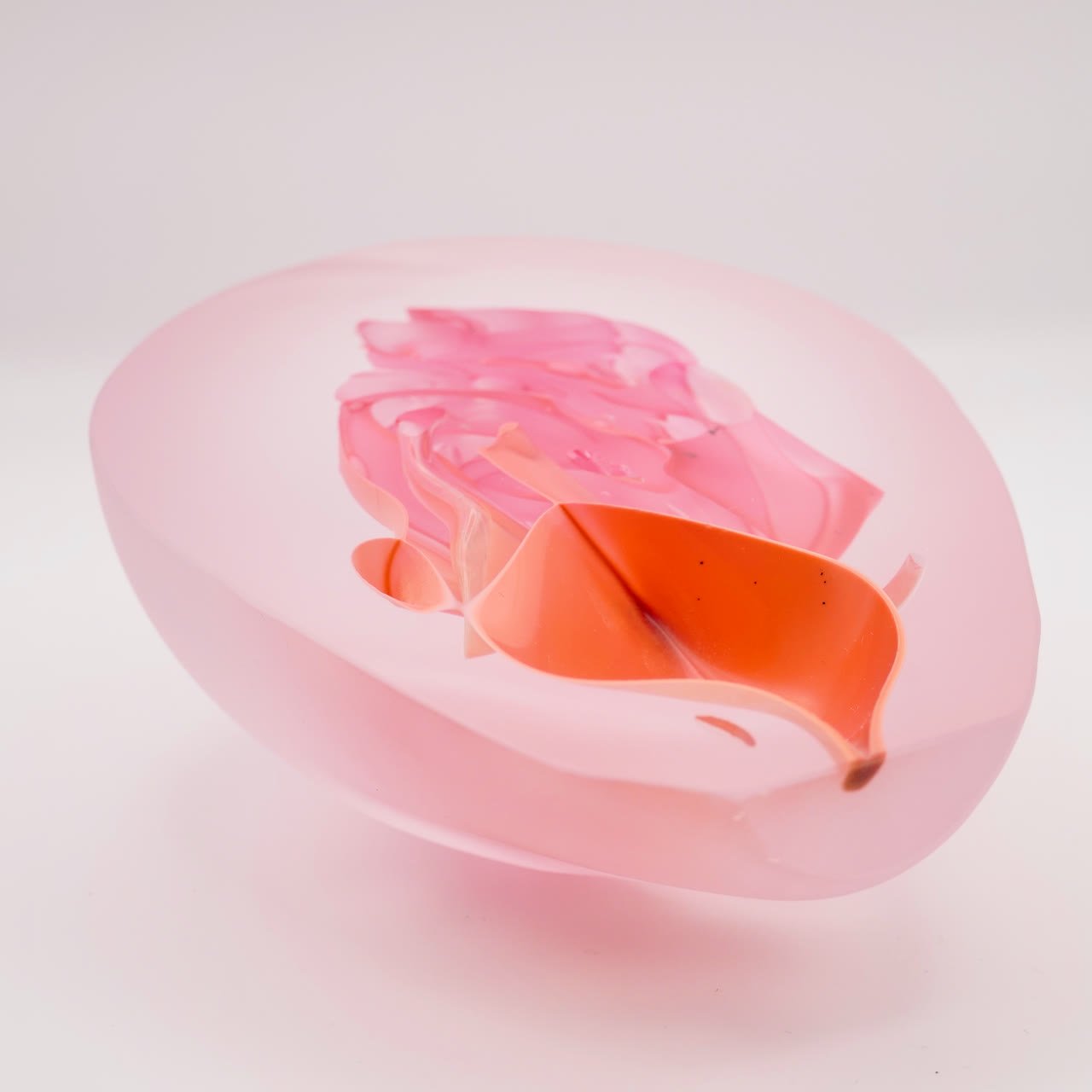 A frosted pale pink dome enclosing a vivid coral form