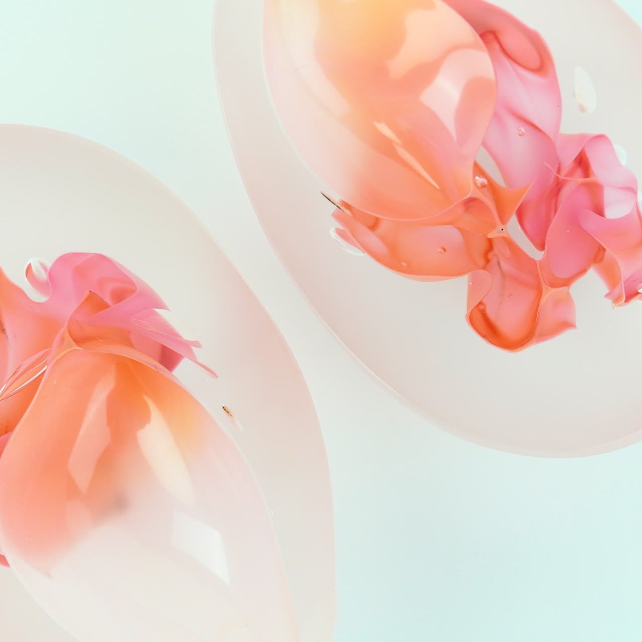 Two frosted bowls holding coral petal forms against pale mint