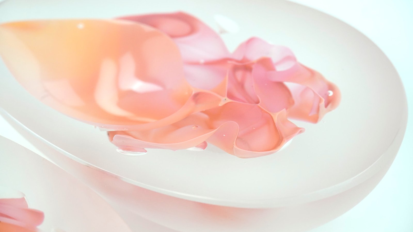 Close detail of a frosted bowl holding coral and pink petal forms